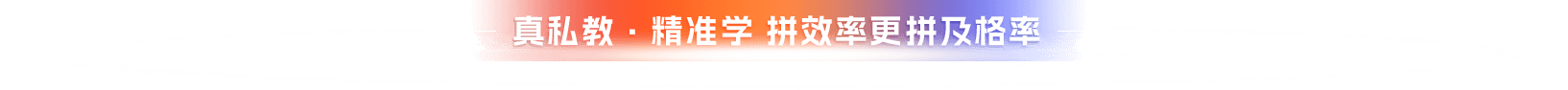 真私教·精准学 拼效率更拼及格率  